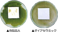 ■防藻試験結果(防藻試験2週間後)