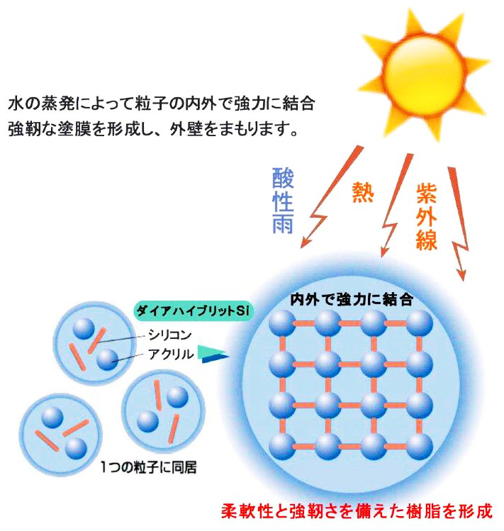 柔軟性と強靭さを備えた樹脂を形成